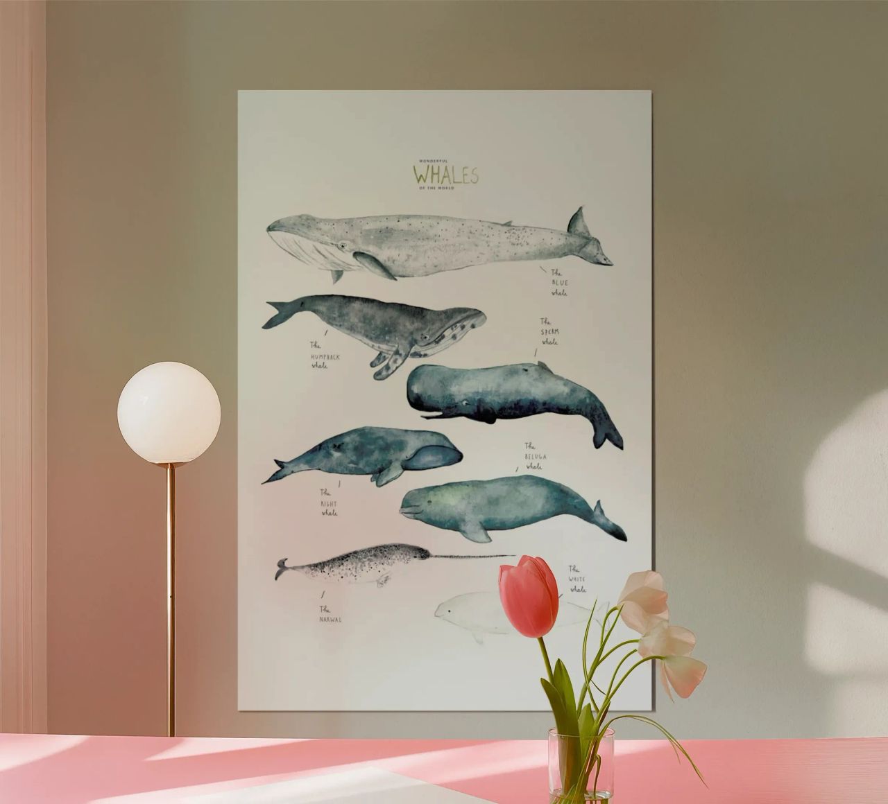 Whale Types poster da Isabelle Vandeplassche