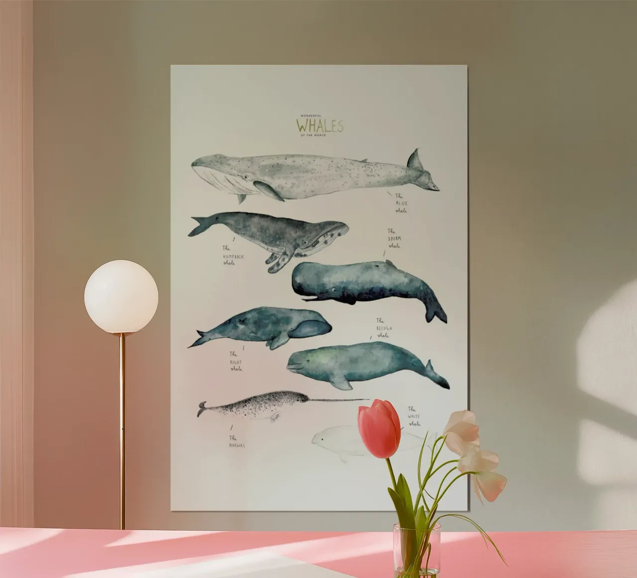 Whale Types poster by Isabelle Vandeplassche