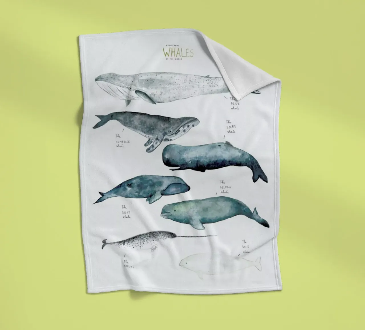 Whale Types coperta in pile da Isabelle Vandeplassche
