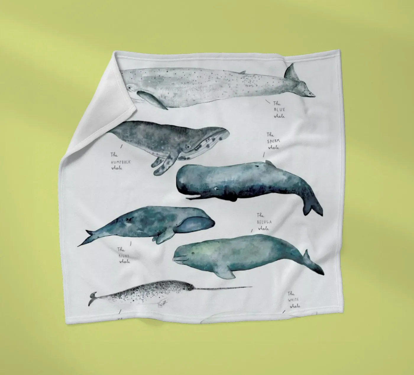 Whale Types fleecedeken van Isabelle Vandeplassche