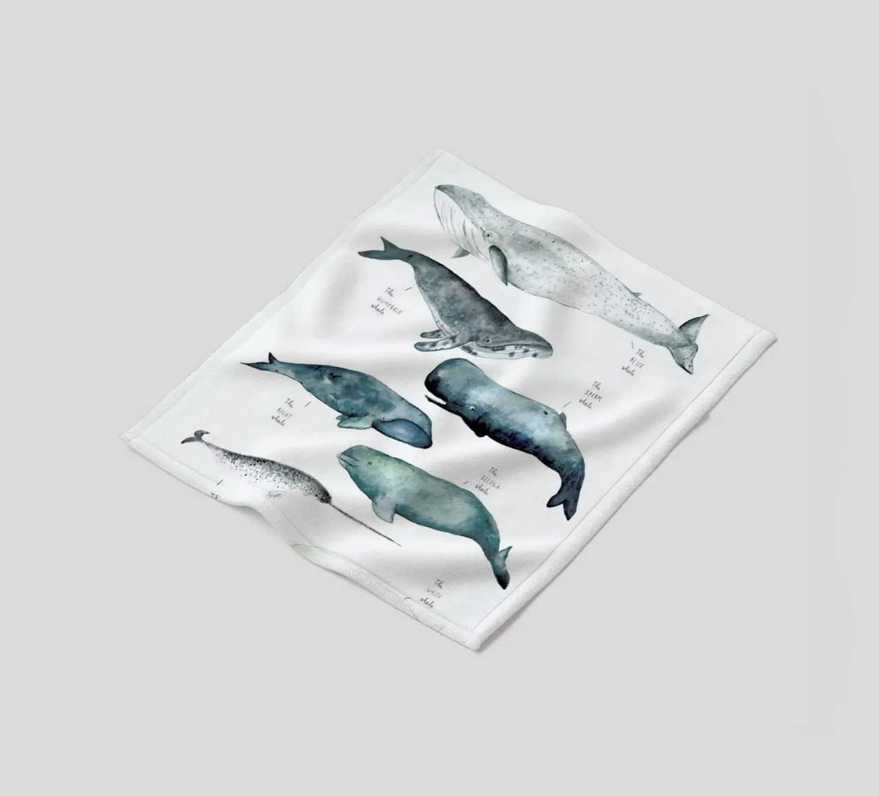 Whale Types coperta in pile da Isabelle Vandeplassche