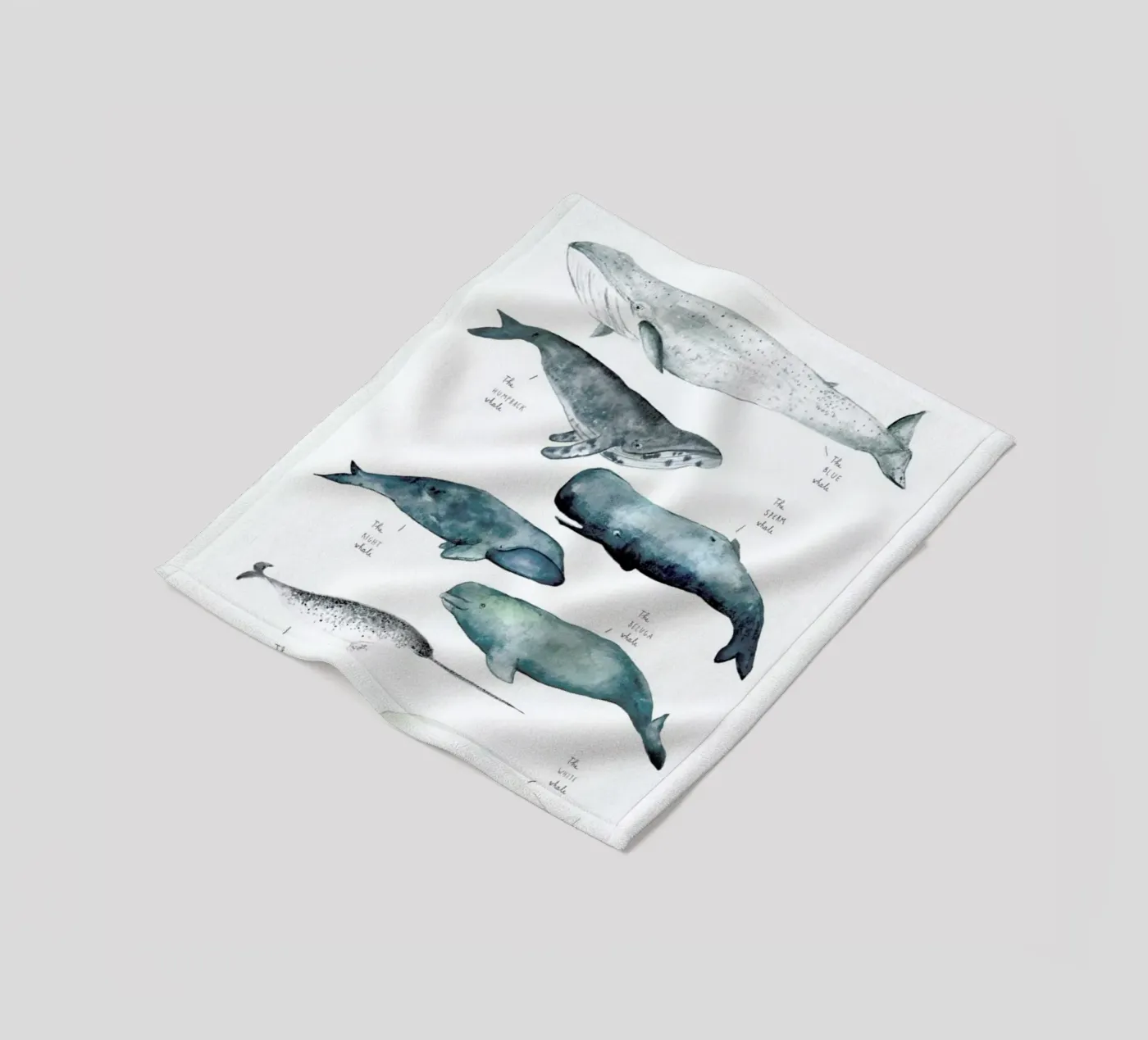 Whale Types fleecedeken van Isabelle Vandeplassche