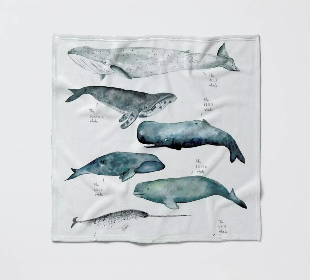 Whale Types coperta in pile da Isabelle Vandeplassche