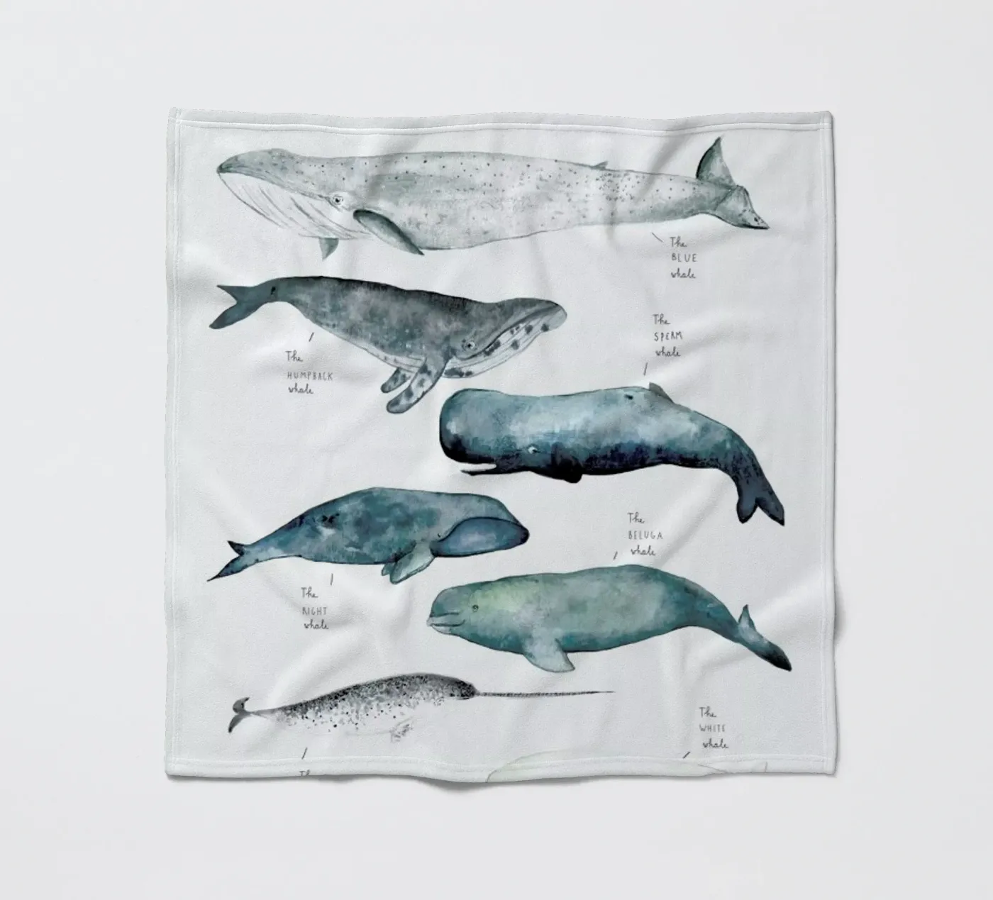 Whale Types fleecedeken van Isabelle Vandeplassche