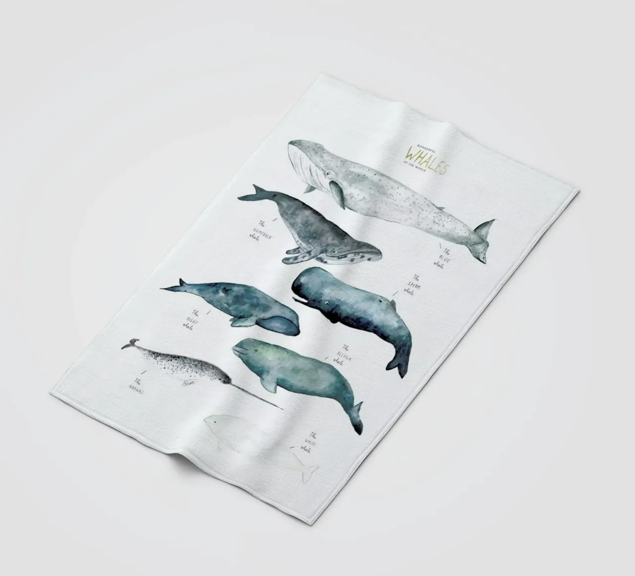 Whale Types coperta in pile da Isabelle Vandeplassche