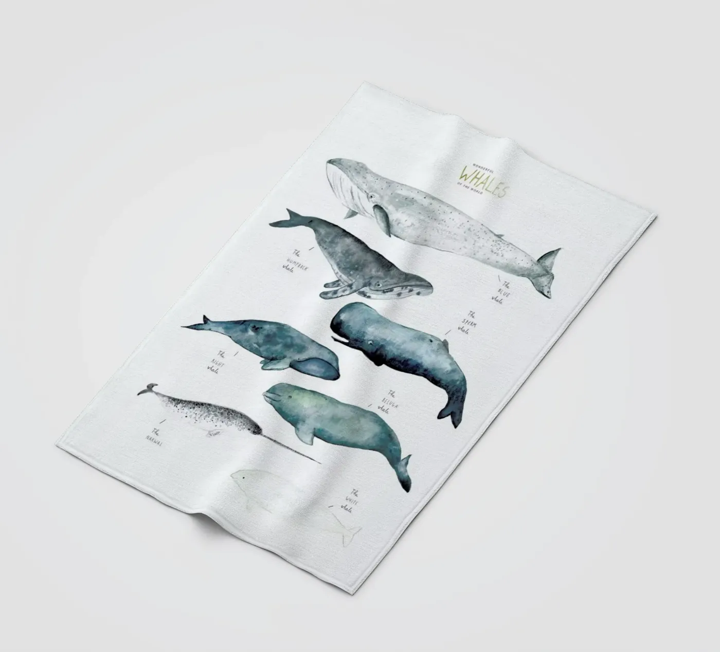 Whale Types fleecedeken van Isabelle Vandeplassche
