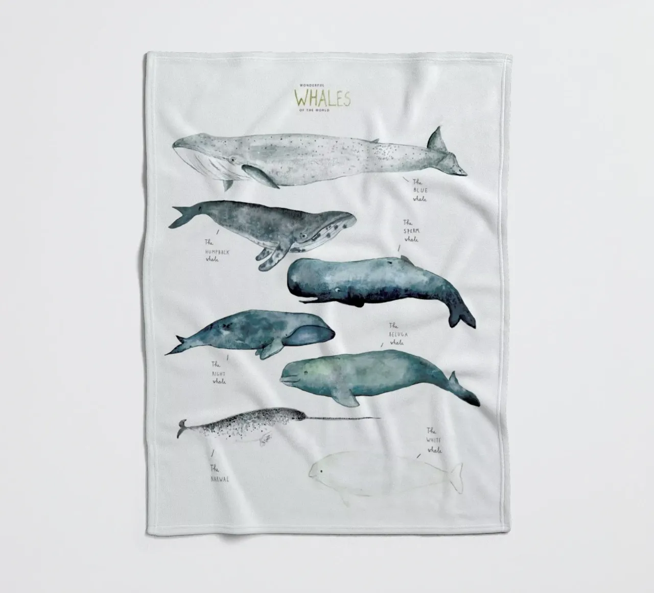 Whale Types coperta in pile da Isabelle Vandeplassche