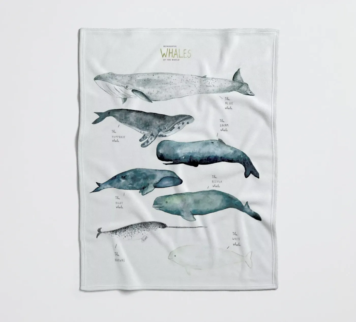 Whale Types fleecedeken van Isabelle Vandeplassche