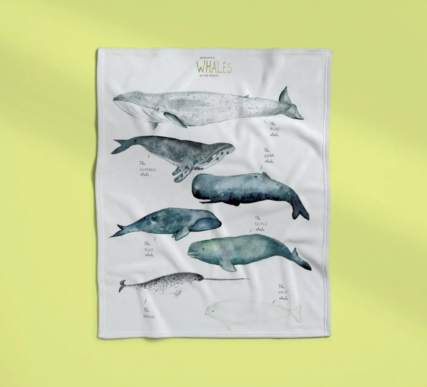 Whale Types fleecedeken van Isabelle Vandeplassche