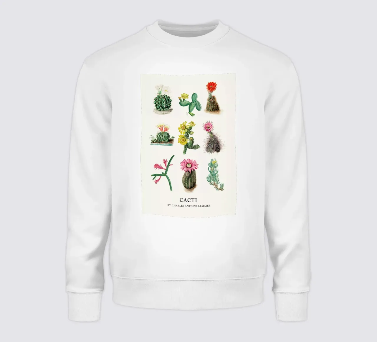 Various Cacti felpa da Flora & Fauna