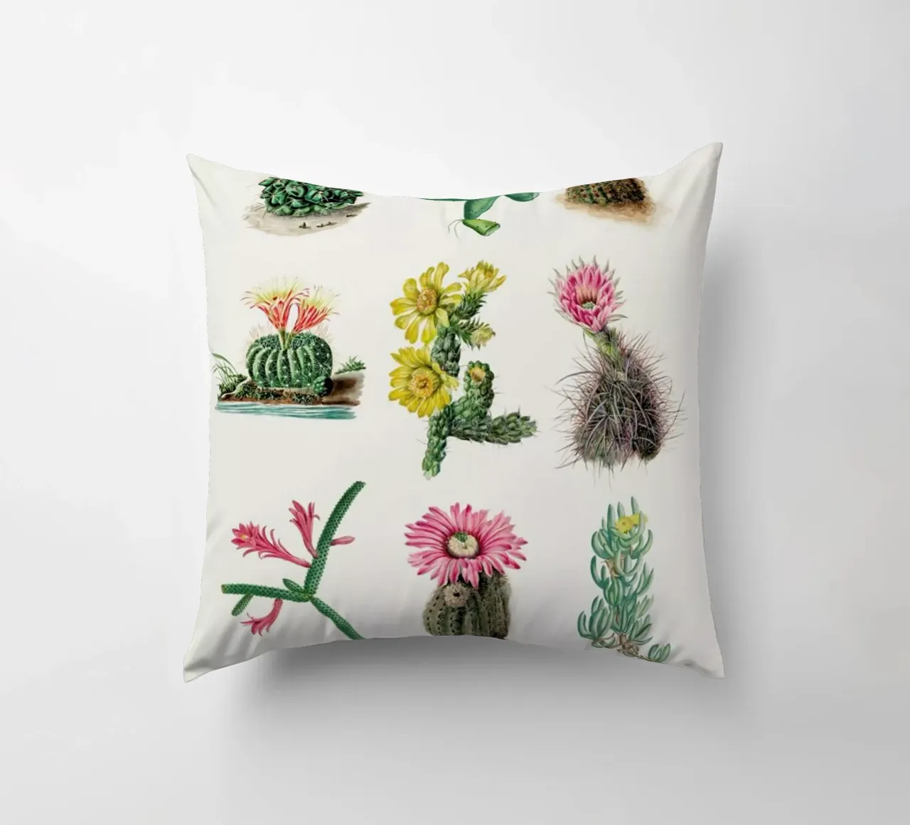 Various Cacti cuscino da Flora & Fauna