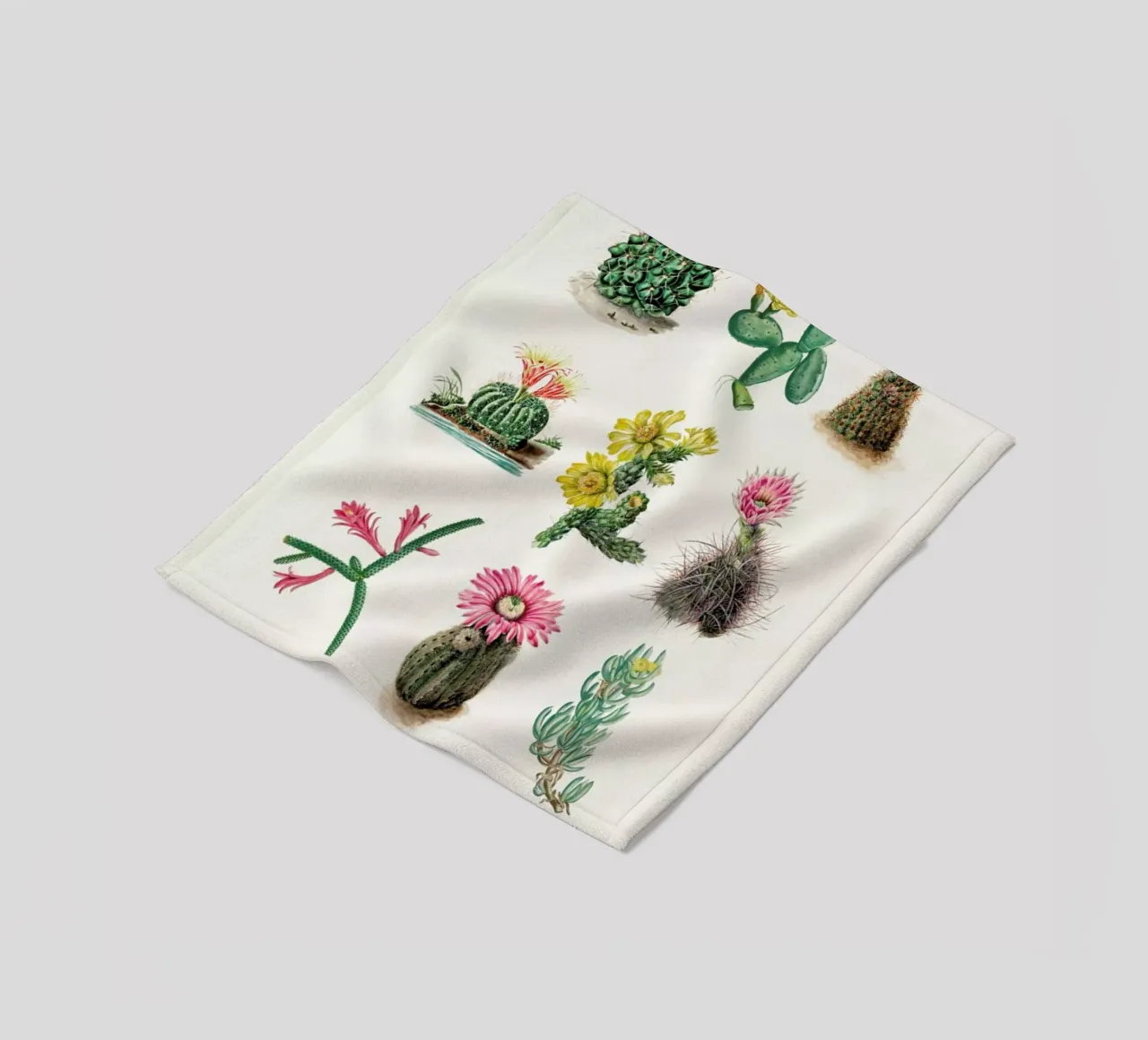 Various Cacti coperta in pile da Flora & Fauna