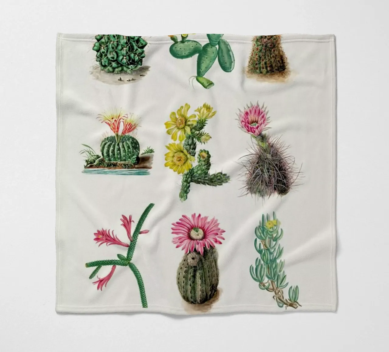 Various Cacti coperta in pile da Flora & Fauna