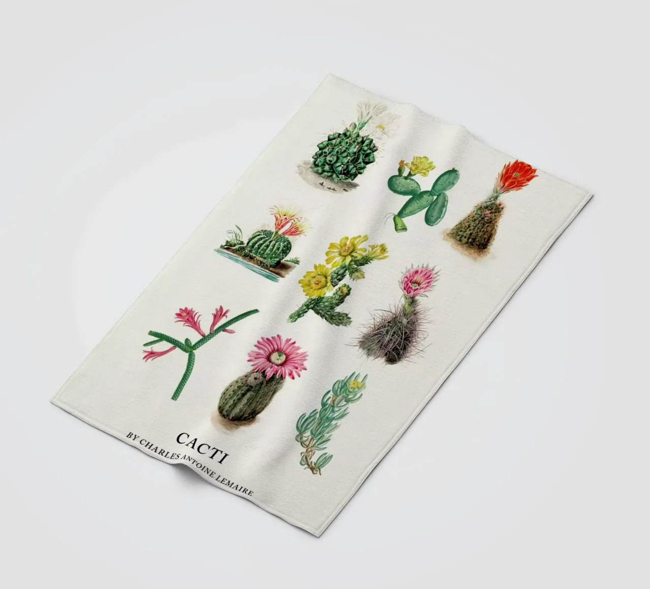 Various Cacti coperta in pile da Flora & Fauna