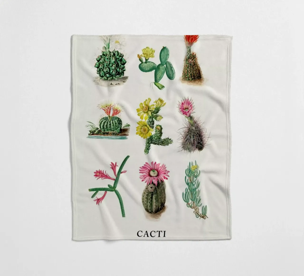 Various Cacti coperta in pile da Flora & Fauna