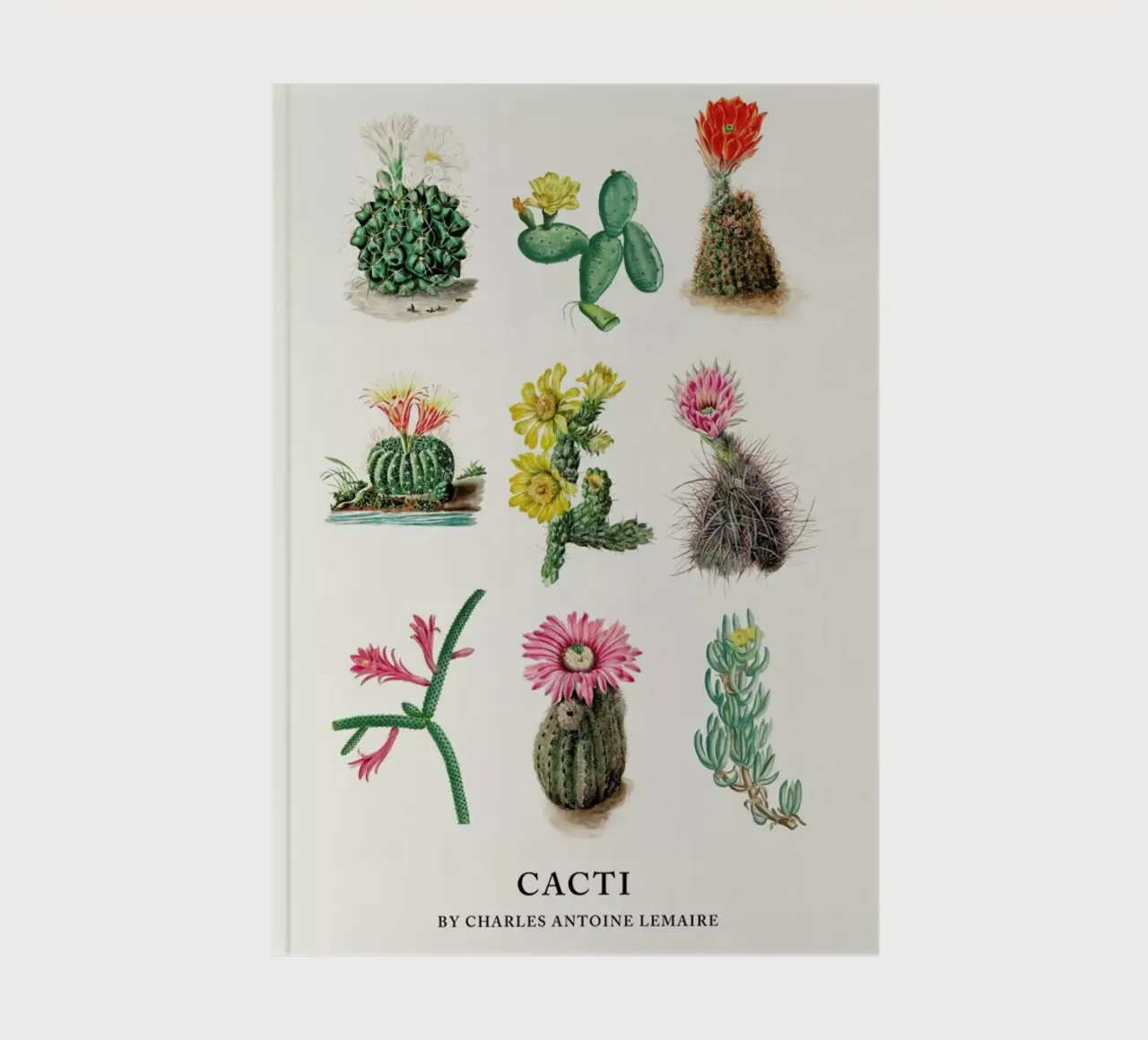 Various Cacti diario da Flora & Fauna