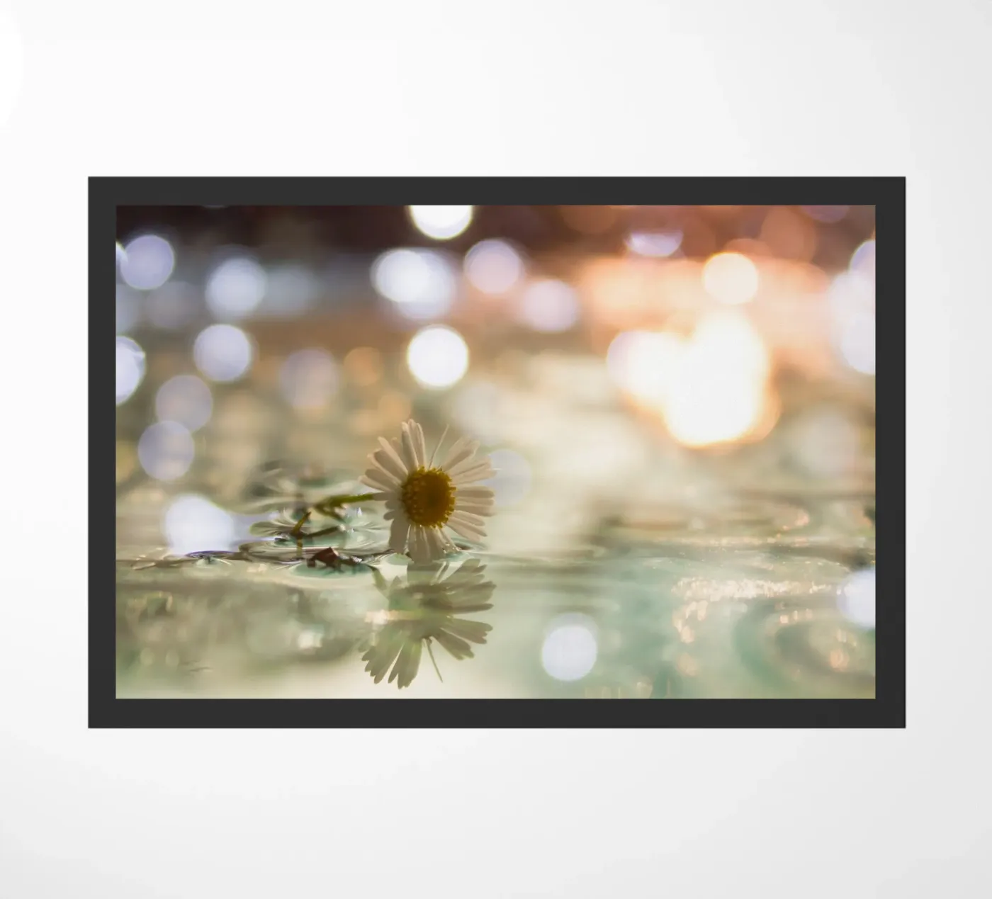 Margherita acquatica! zerbino da MiniClic