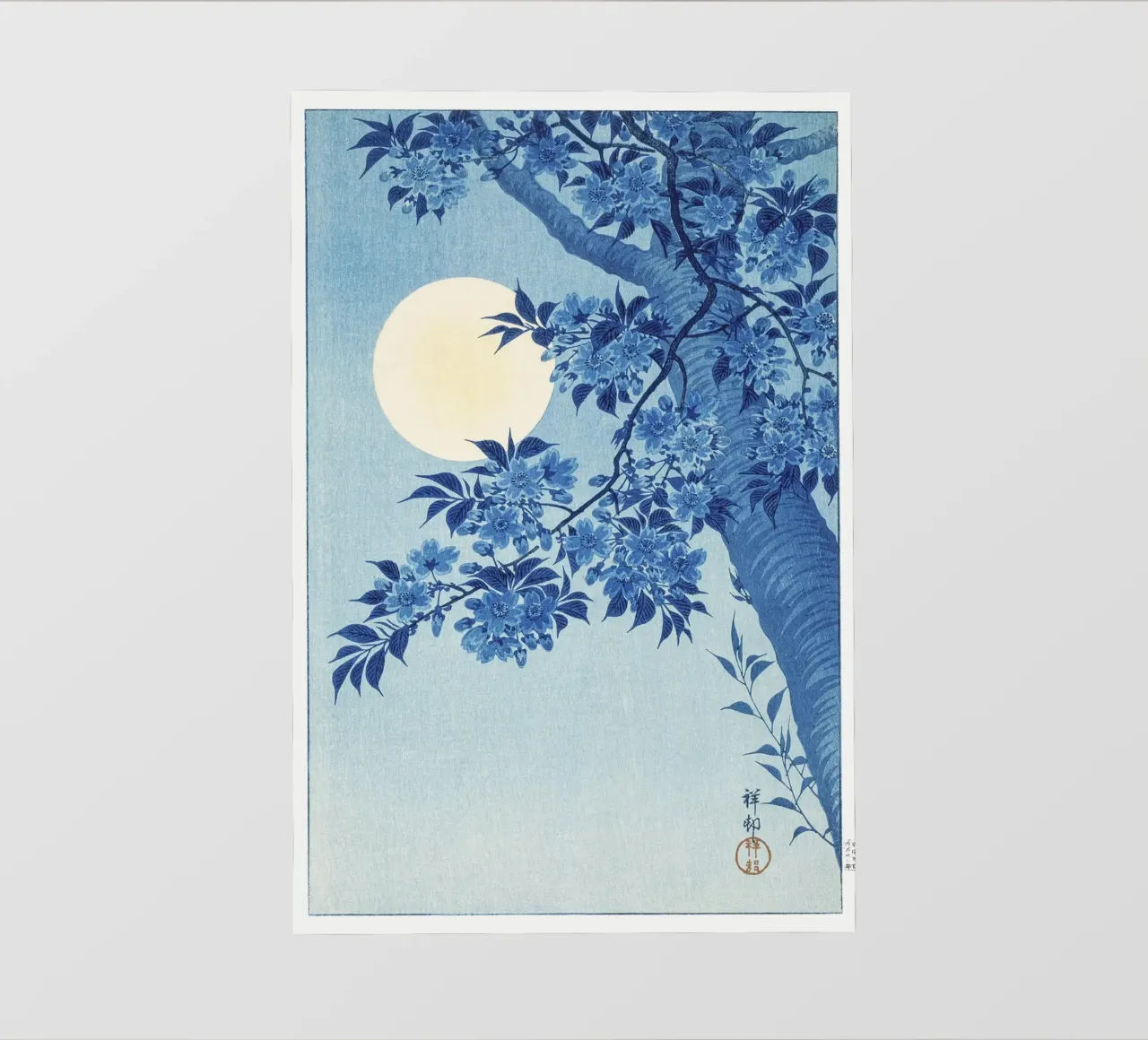 Ciliegio in fiore in una notte di luna di Ohara Koson (1932 ca.) pellicola backlit da Venus Art