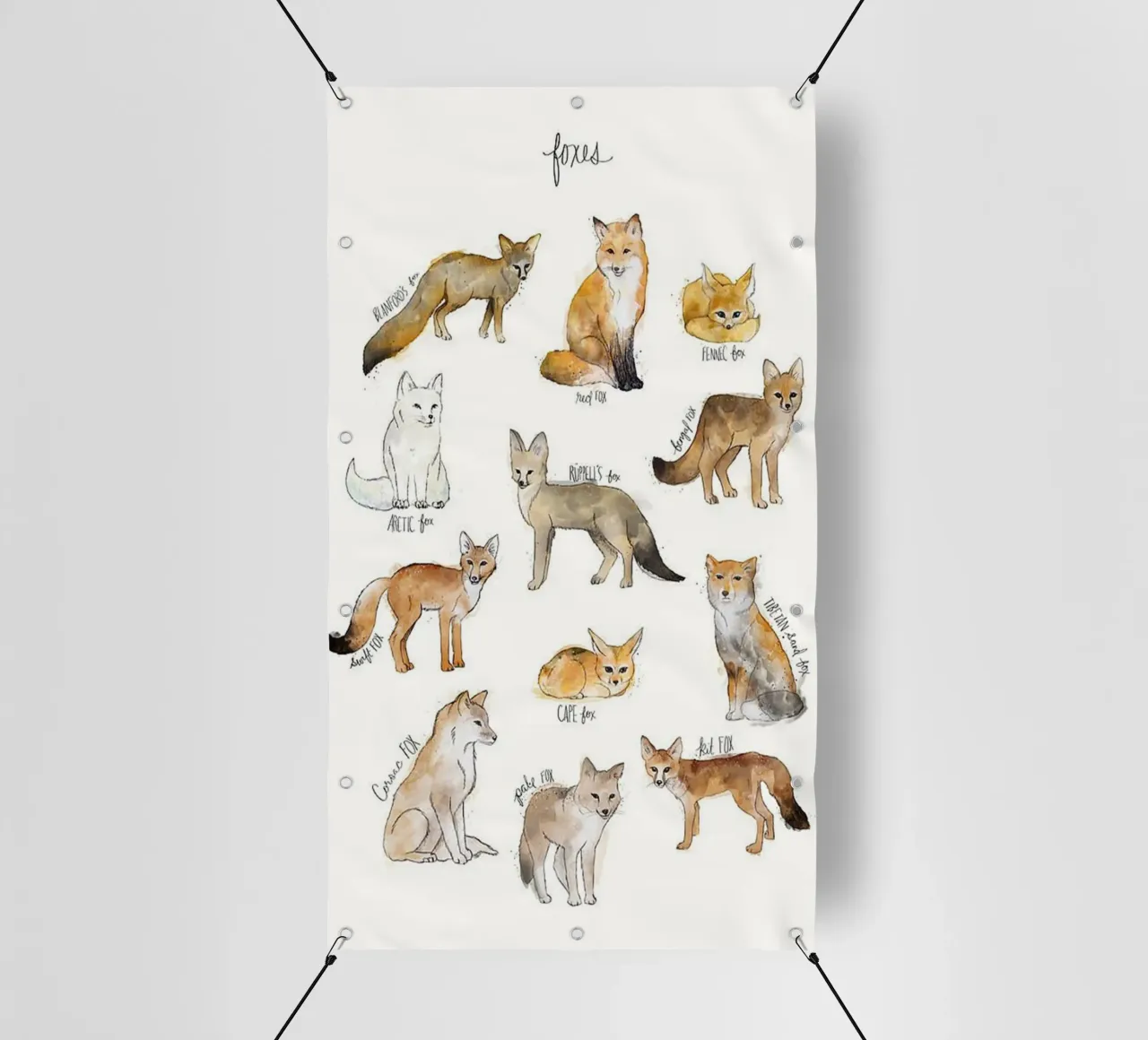tipi di volpi telo in pvc da amnda shope