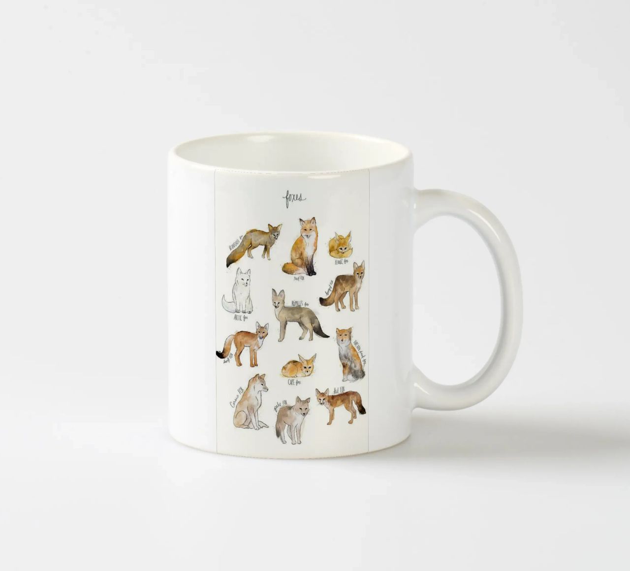 tipi di volpi tazza in ceramica da amnda shope