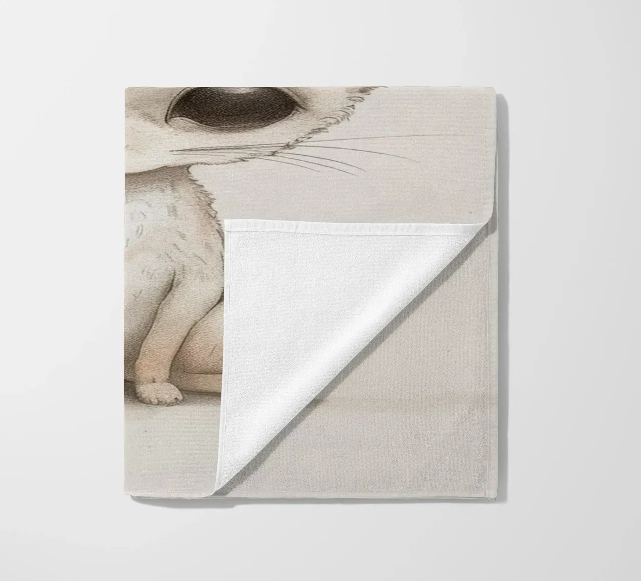 Affascinante opera d'arte sulla volpe Fennec - Accattivante fauna del deserto telo mare da DesignDoodle