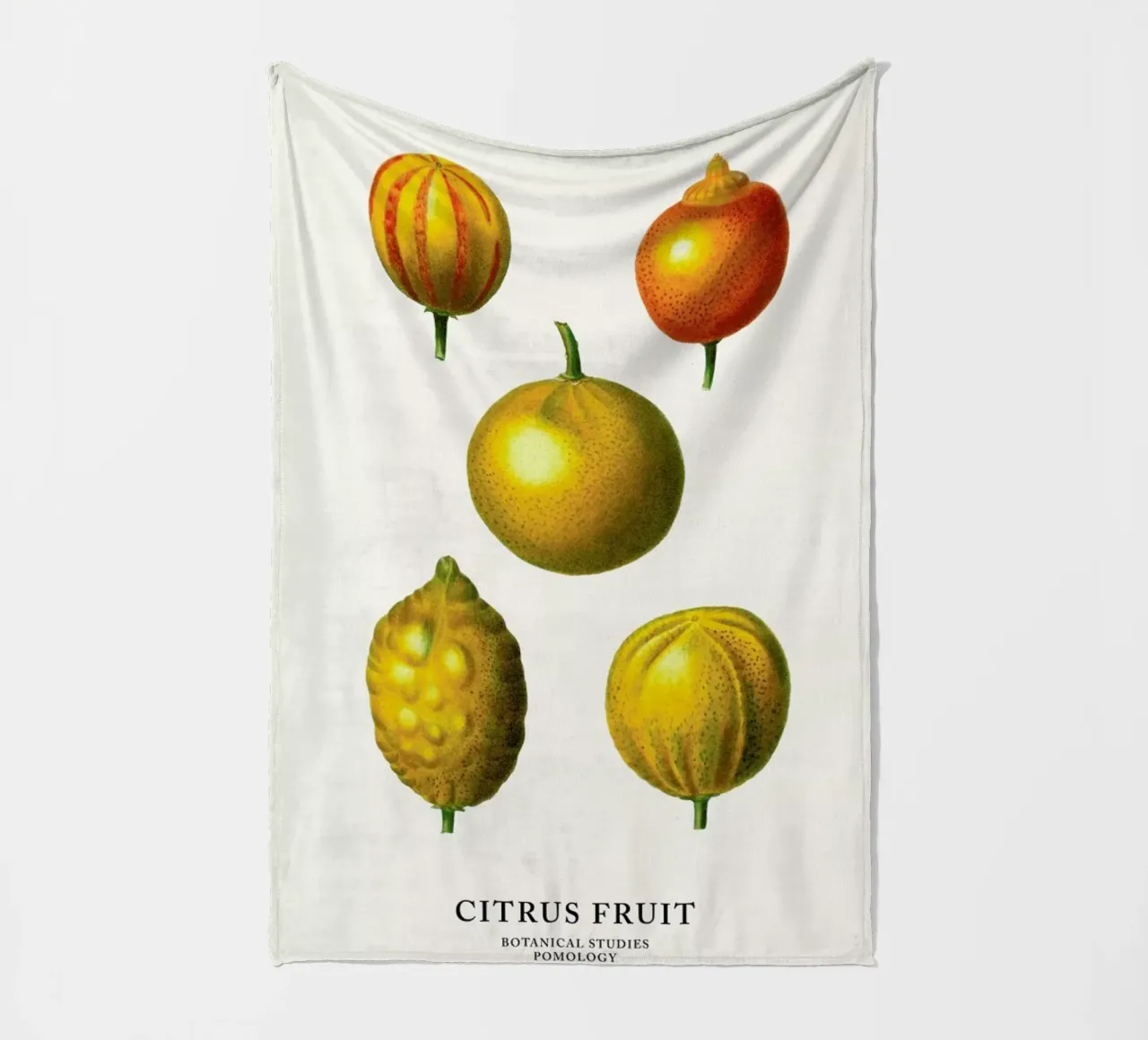 Citrus Fruit coperta in pile da Flora & Fauna