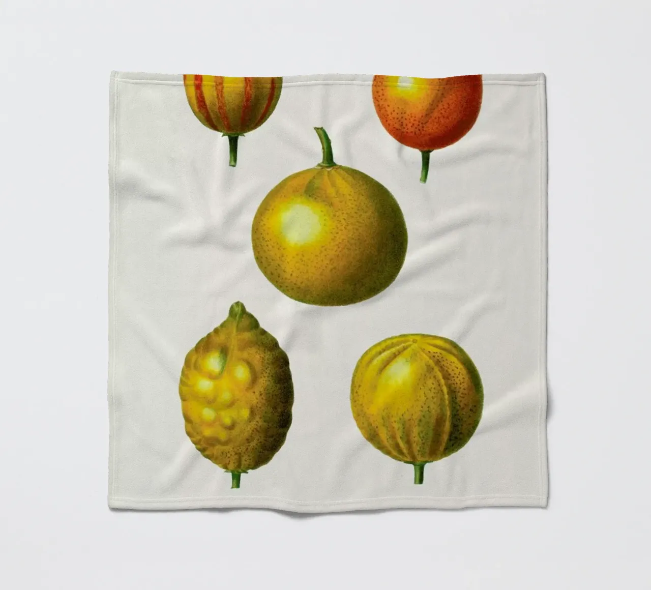 Citrus Fruit coperta in pile da Flora & Fauna