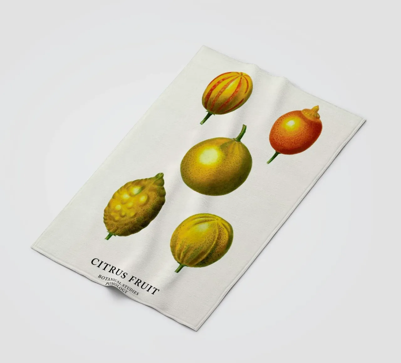 Citrus Fruit coperta in pile da Flora & Fauna