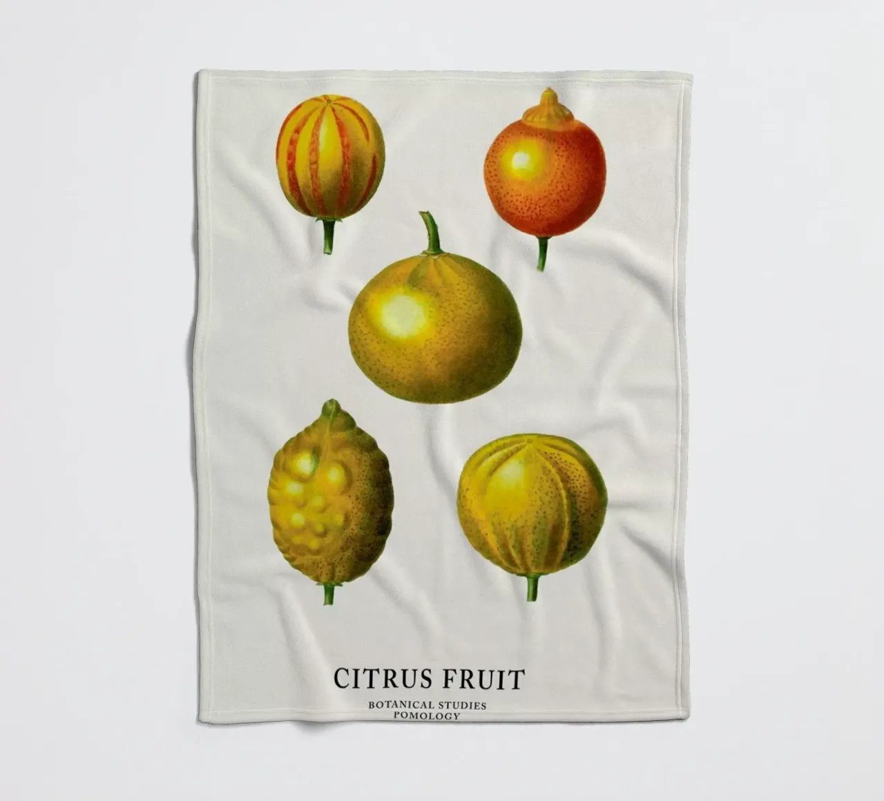 Citrus Fruit coperta in pile da Flora & Fauna
