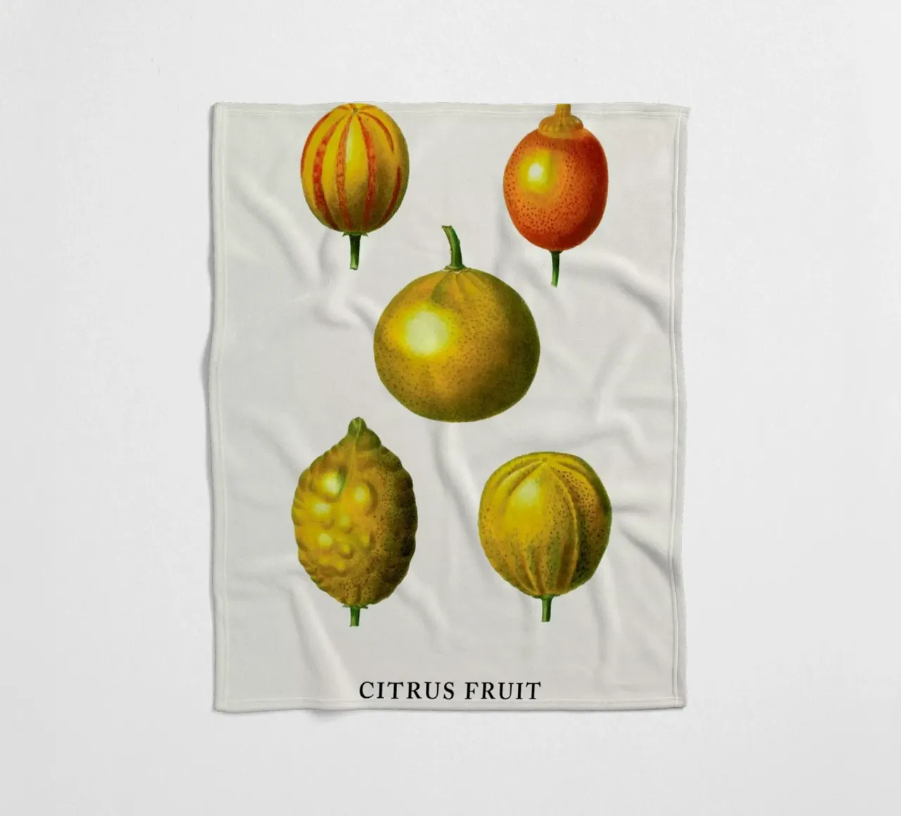 Citrus Fruit coperta in pile da Flora & Fauna