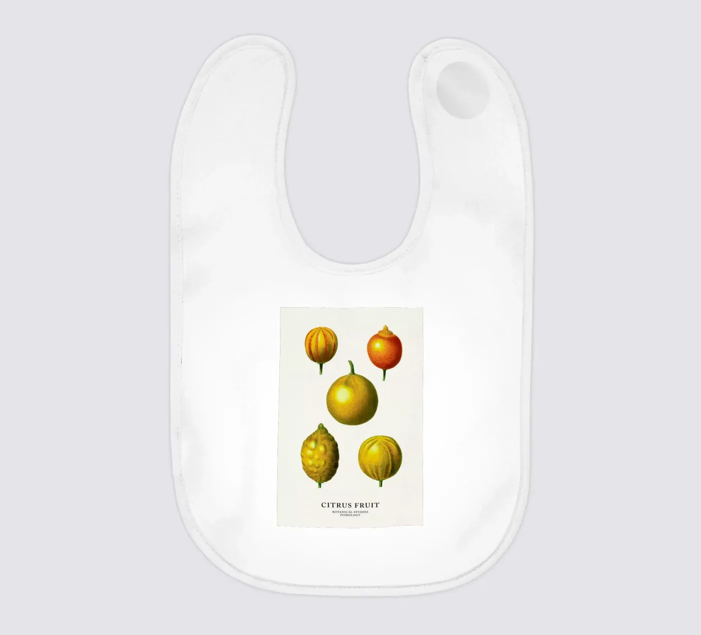 Citrus Fruit bavaglino da Flora & Fauna