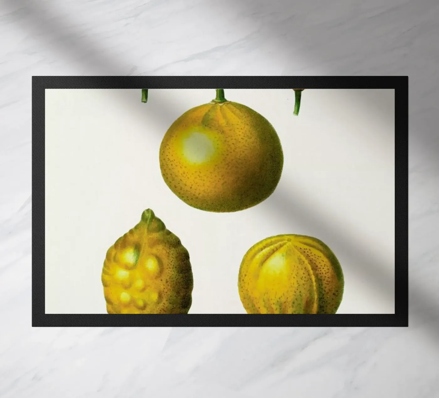 Citrus Fruit doormat by Flora & Fauna