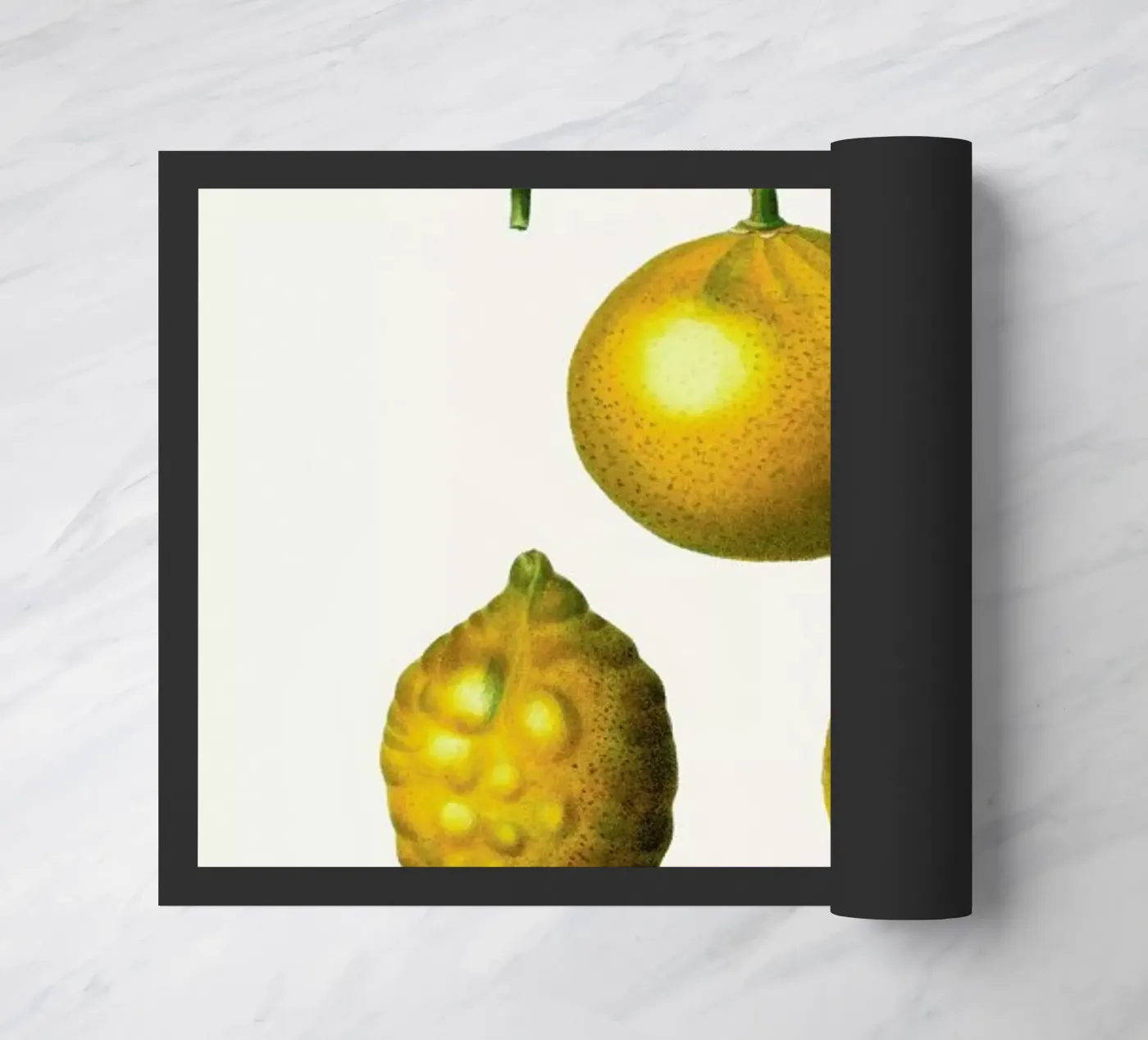 Citrus Fruit doormat by Flora & Fauna