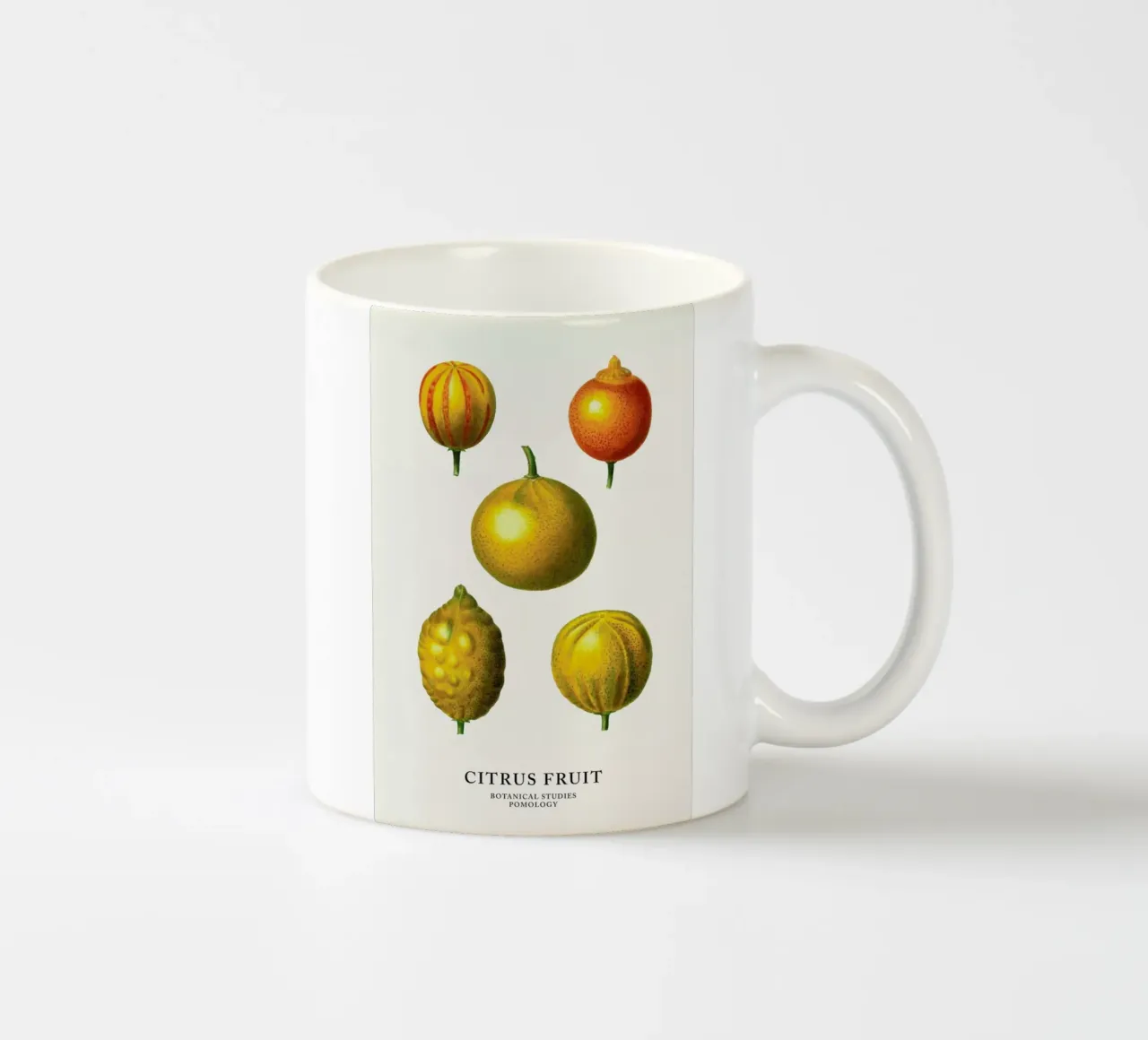 Citrus Fruit tazza in ceramica da Flora & Fauna
