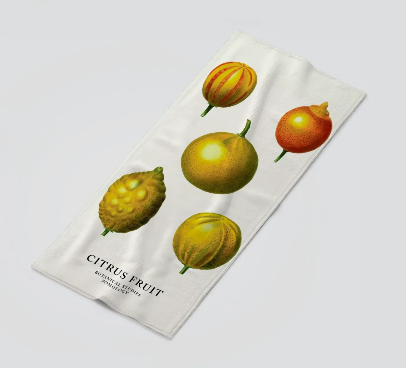 Citrus Fruit telo mare da Flora & Fauna