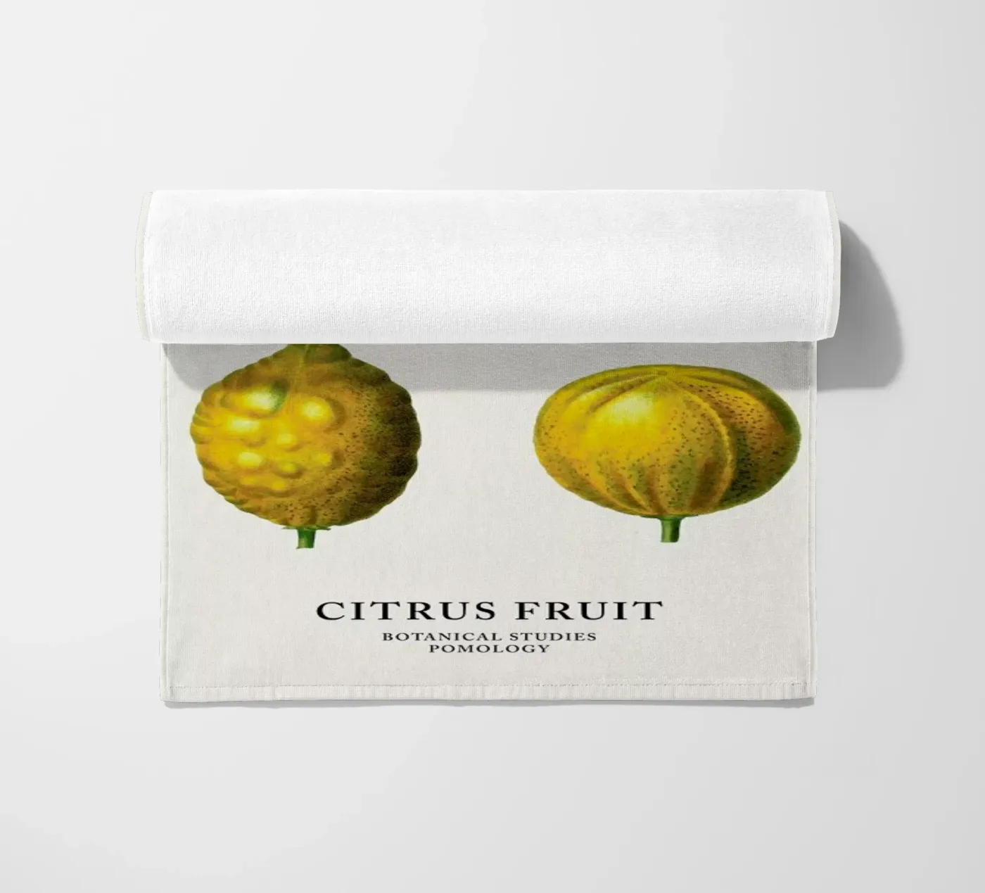 Citrus Fruit telo mare da Flora & Fauna