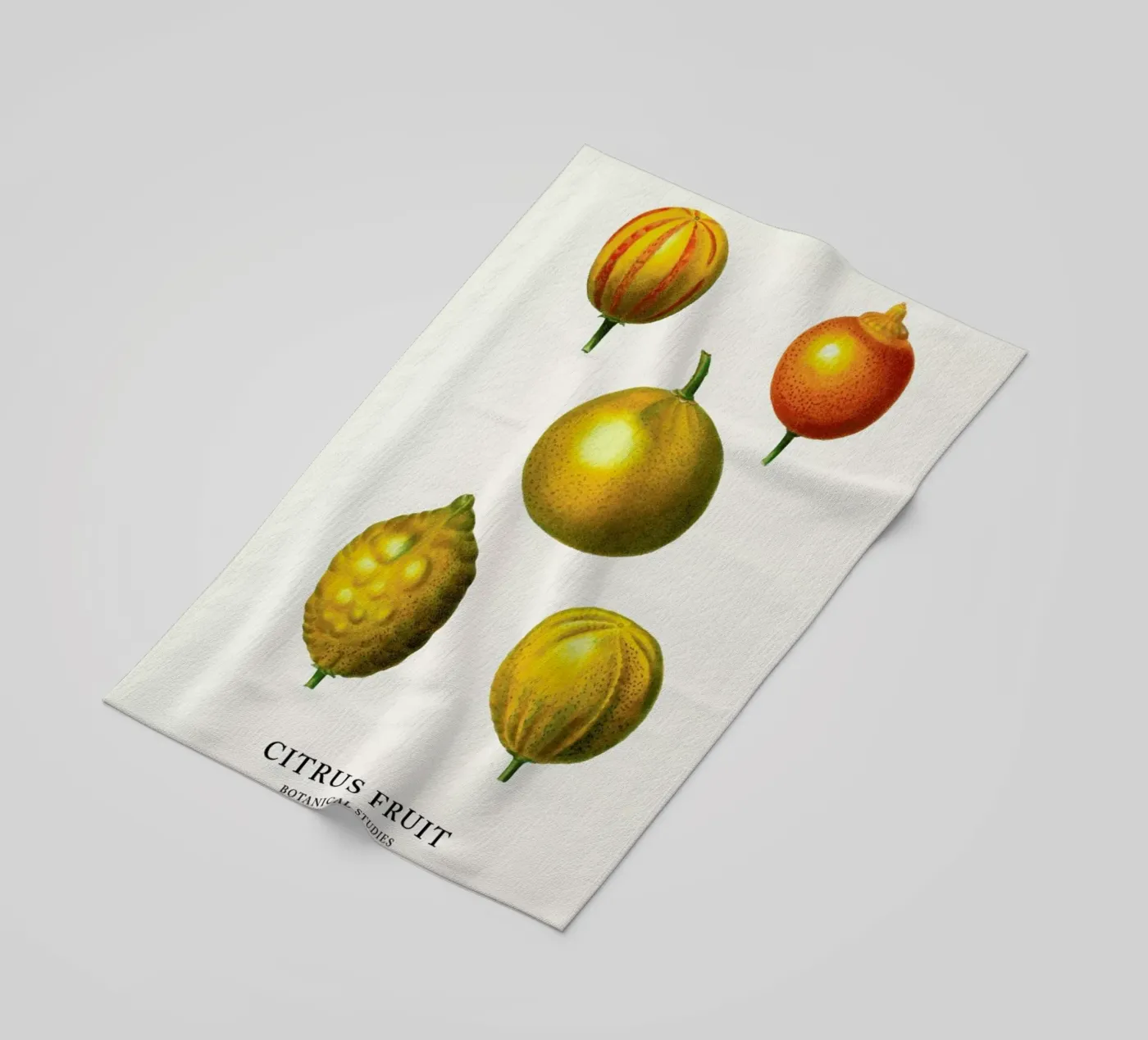 Citrus Fruit telo mare da Flora & Fauna