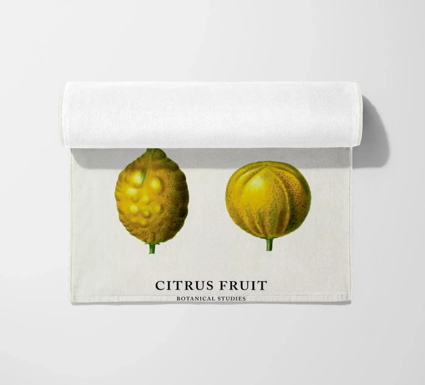 Citrus Fruit telo mare da Flora & Fauna