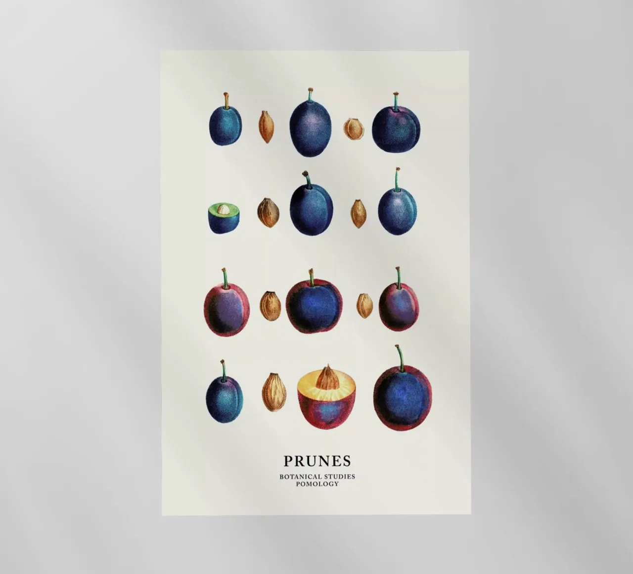 Prunes pellicola backlit da Flora & Fauna