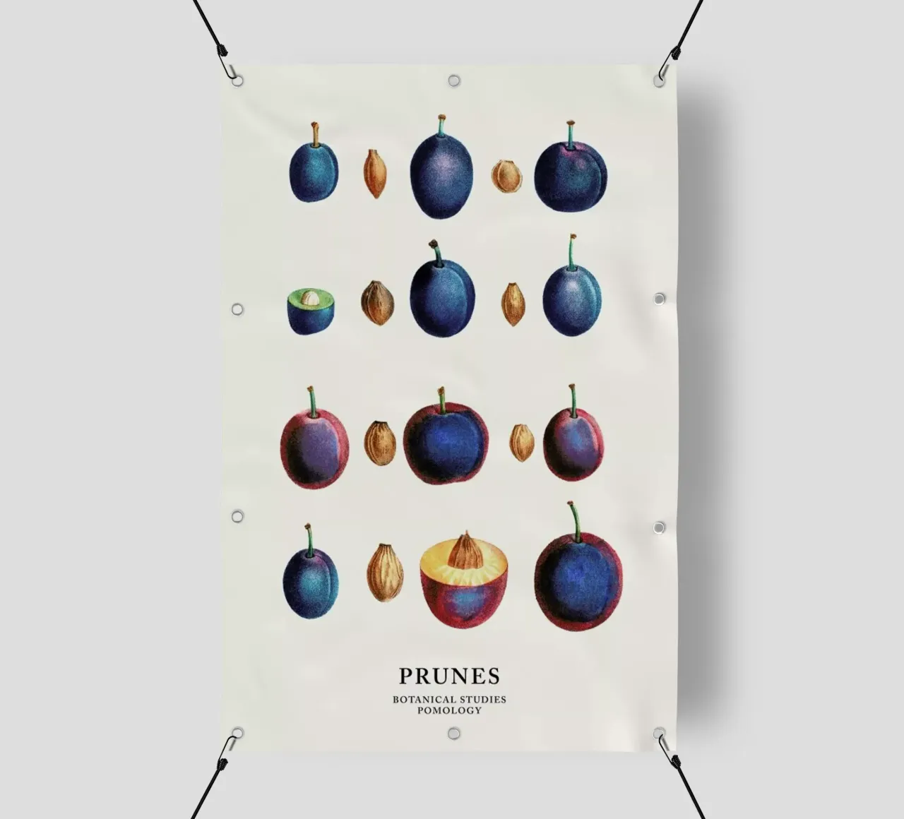 Prunes telo in pvc da Flora & Fauna