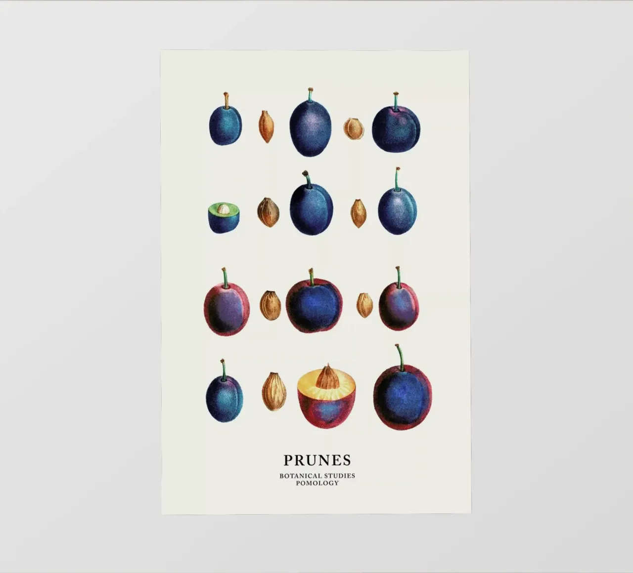 Prunes telo in pvc da Flora & Fauna