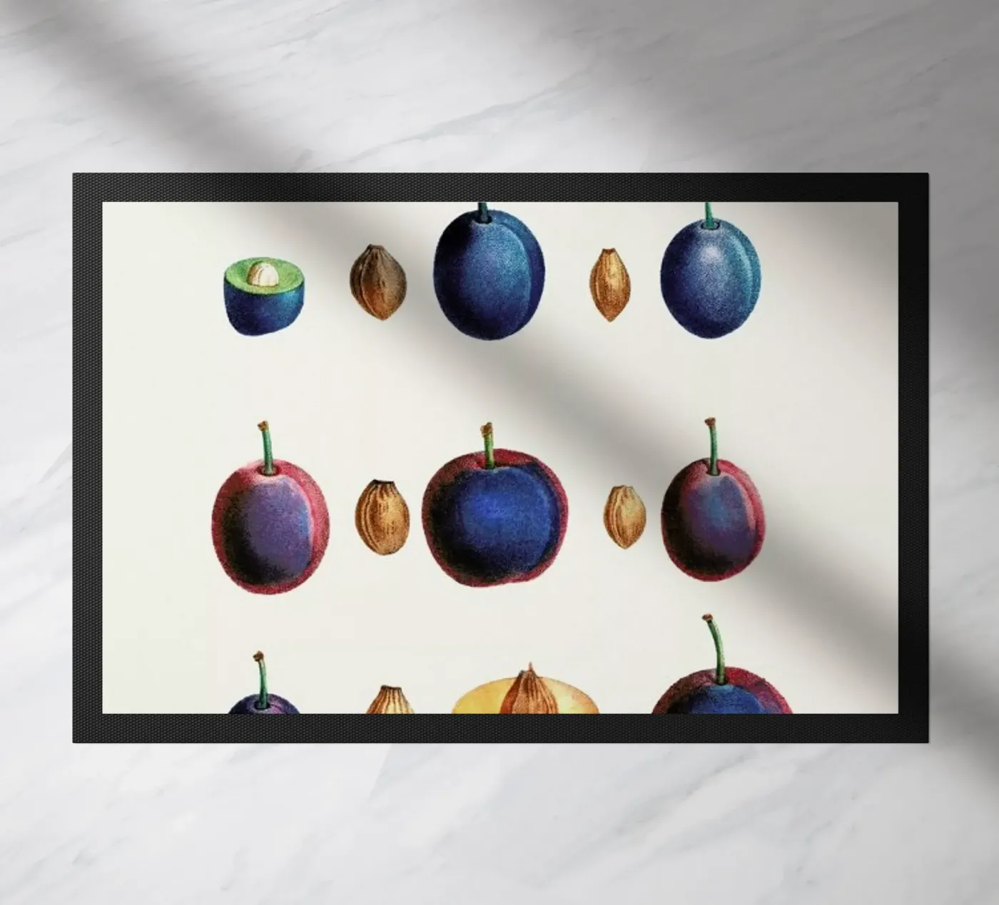 Prunes zerbino da Flora & Fauna