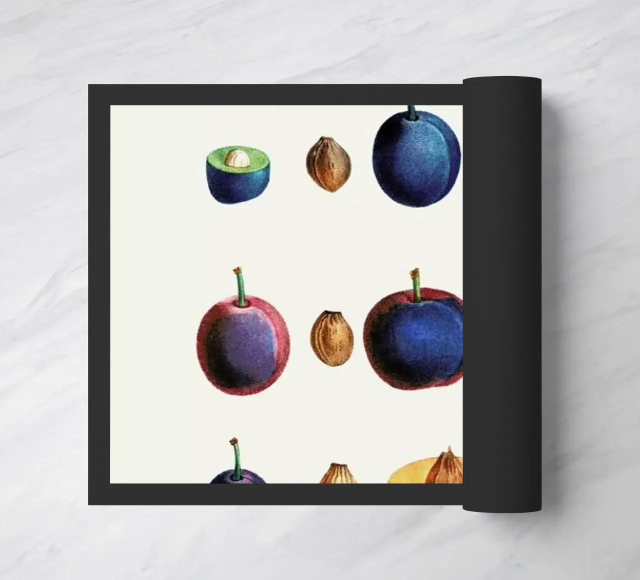 Prunes zerbino da Flora & Fauna