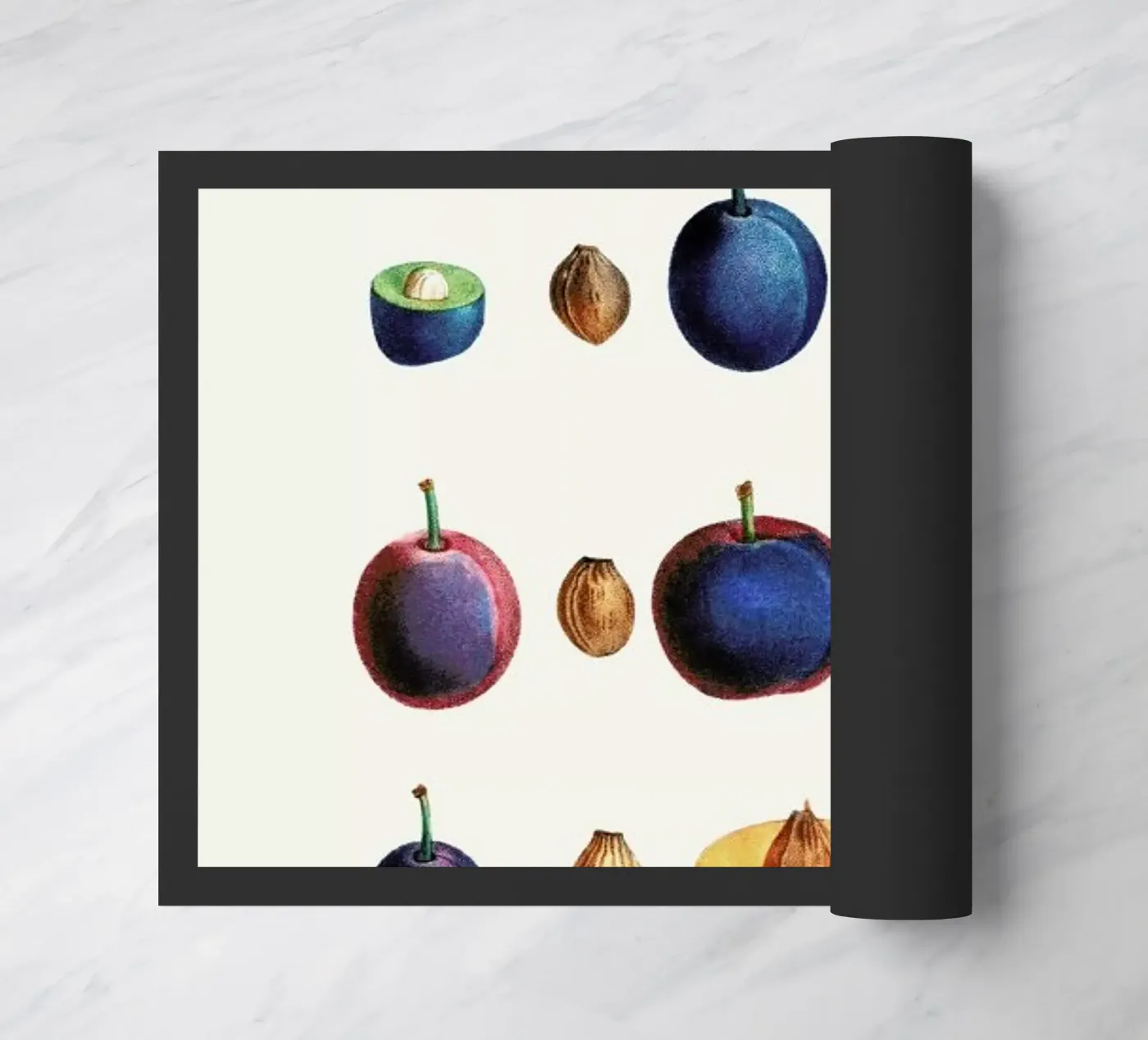 Prunes zerbino da Flora & Fauna