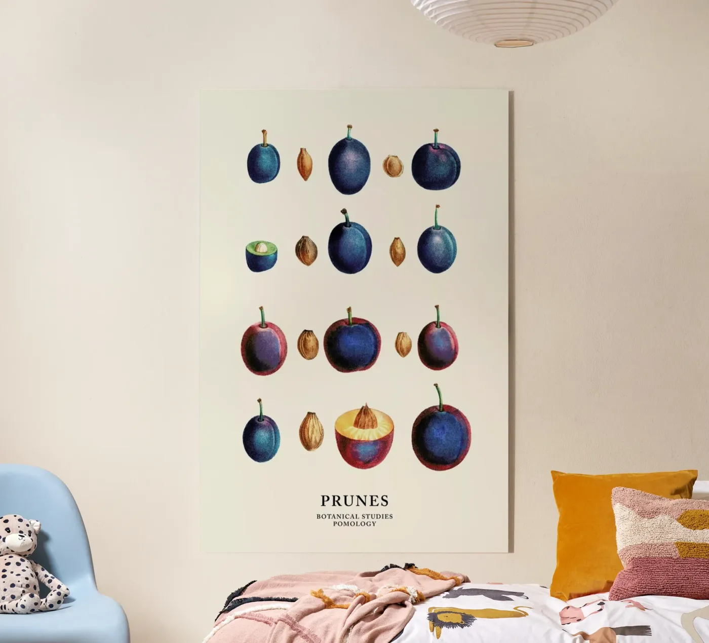 Prunes plexiglass da Flora & Fauna