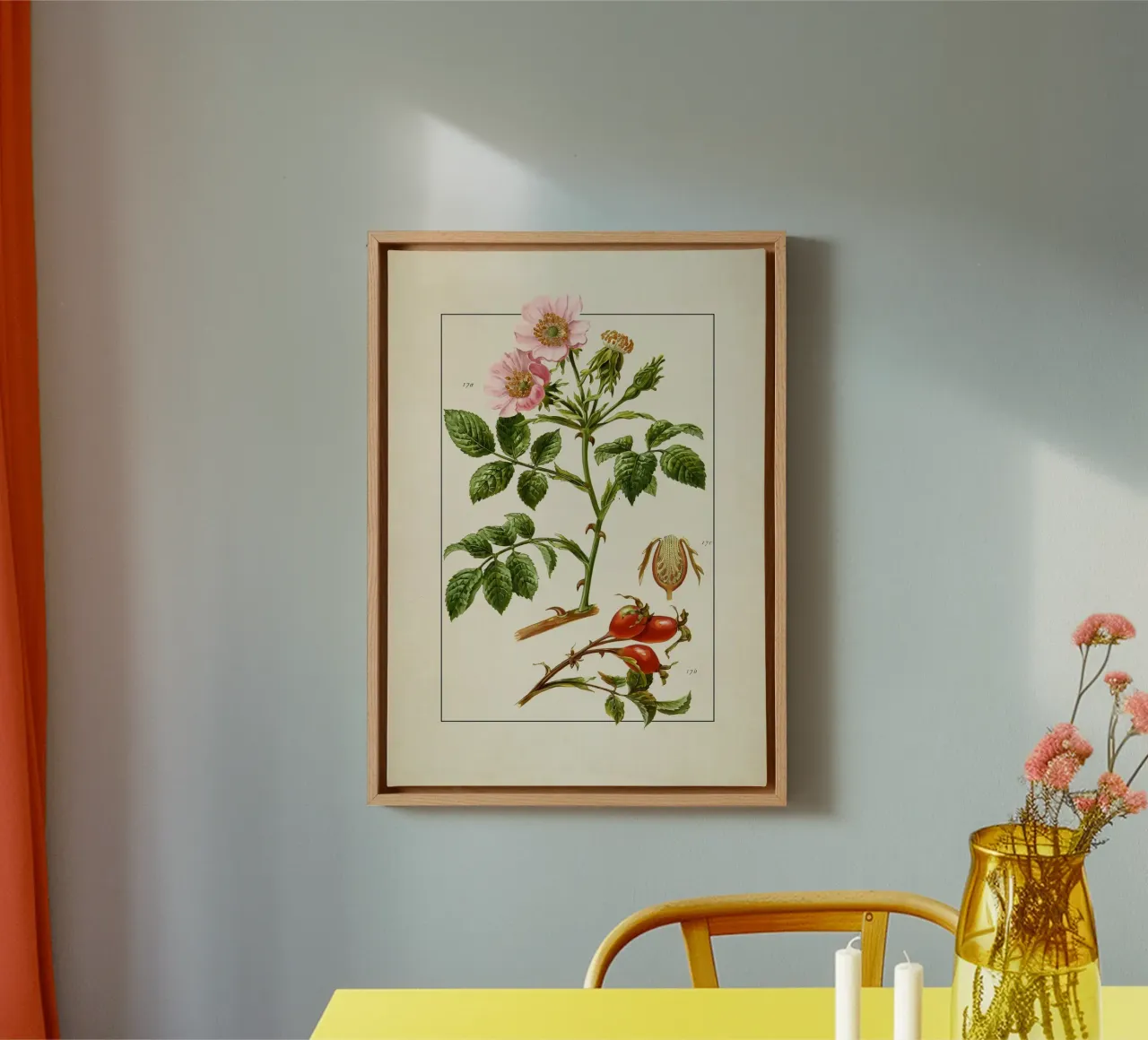 Rosa Canina Print - Vintage Wild Rose Botanical Art canvas with Floater frame by ClubArt