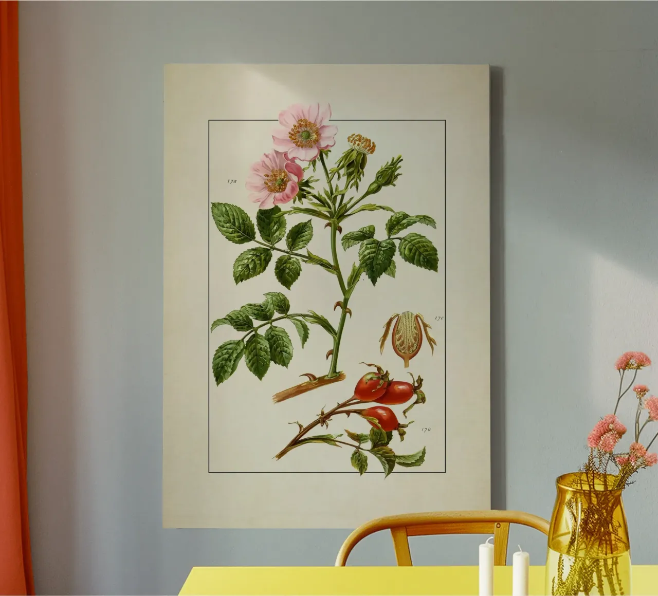 Rosa Canina Print - Vintage Wild Rose Botanical Art canvas with Floater frame by ClubArt