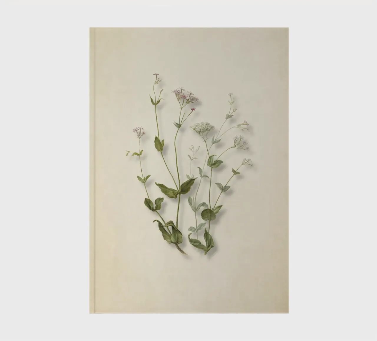 Herman Saftleven Botanical Print - Vintage Senna & Catchfly notebook by ClubArt