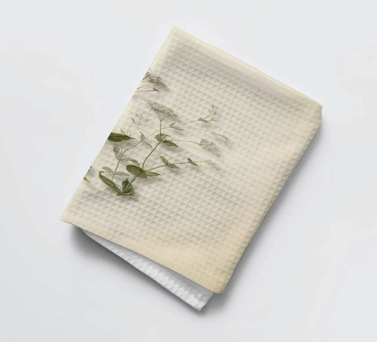 Stampa botanica di Herman Saftleven - Senna e farfalla d'epoca canovaccio da cucina da ClubArt