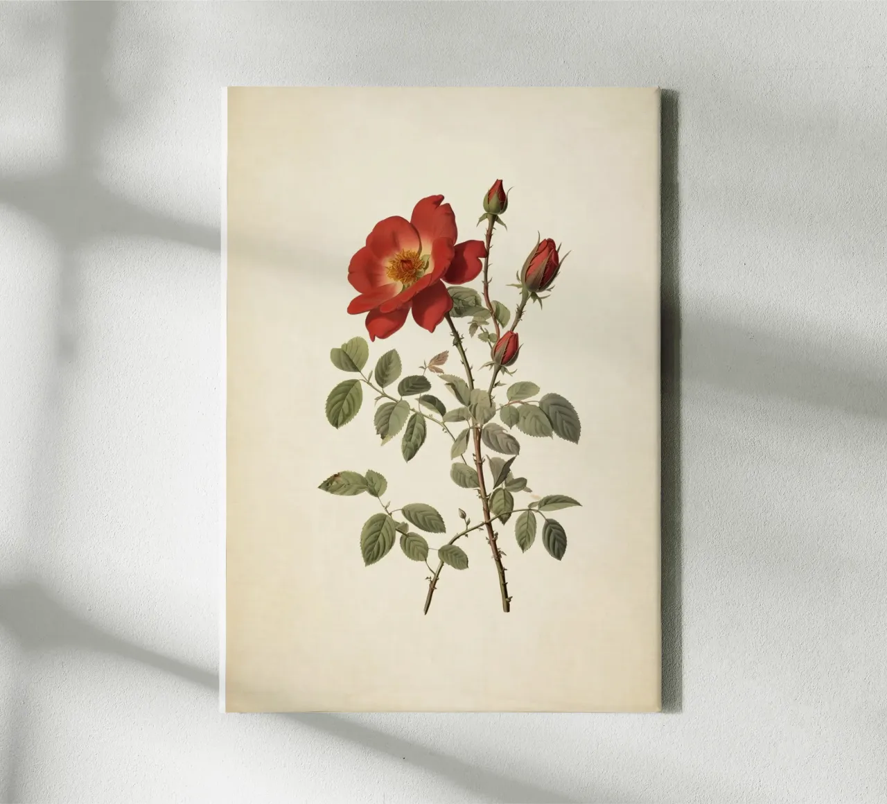 Vintage Wild Rose Botanical Print - Rustic Red Rose Art canvas with Floater frame by ClubArt